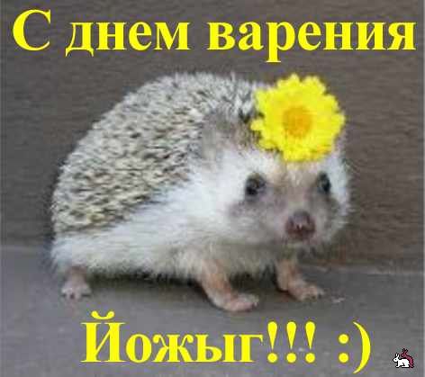 1340786298_pp.jpg
