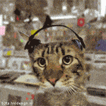 a67088f172817794.gif
