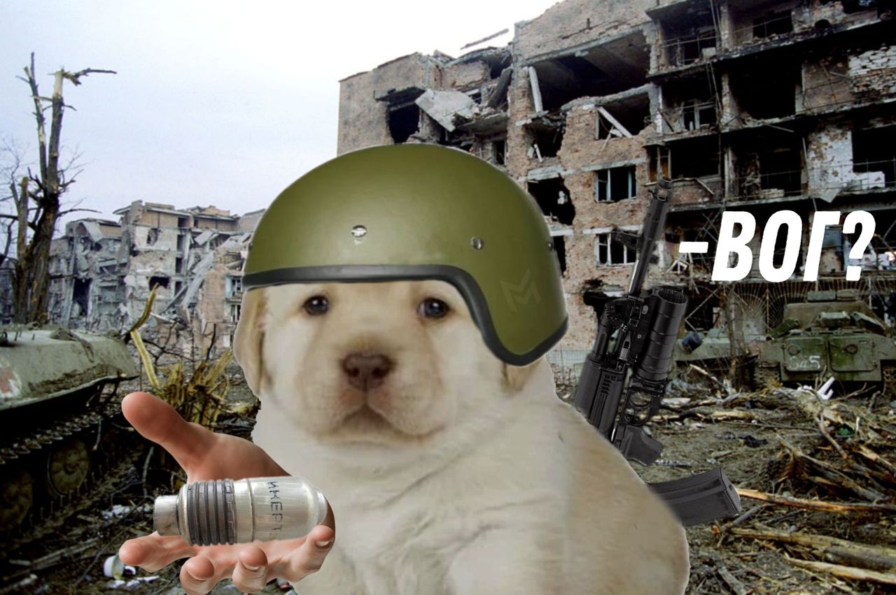 eokBGNBPLmo.jpg