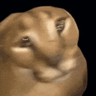 floppa23.gif