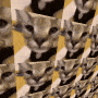 floppa3.gif