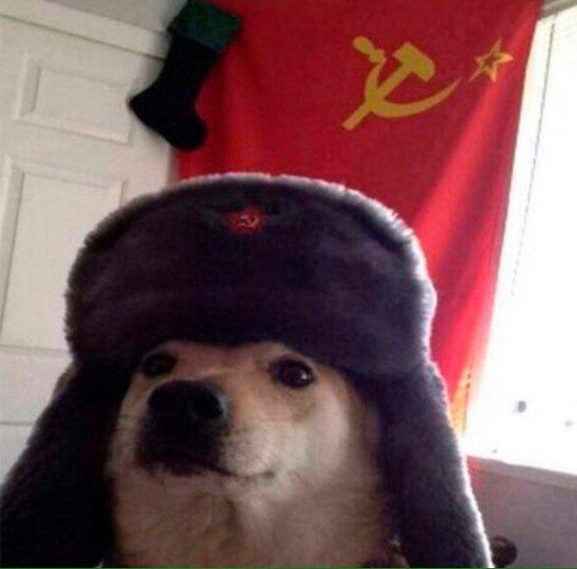 i3oaD-6GqzQ.jpg