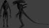 unknown (1).png