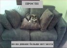 ответка.jpg