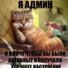 B!GRUSS!ANCAT:D