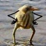 cywincool