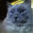 Oleg