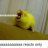 Lodriano